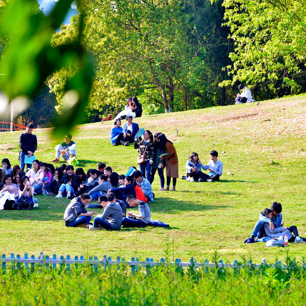 学校使命,学校愿景,学校价值观,校训